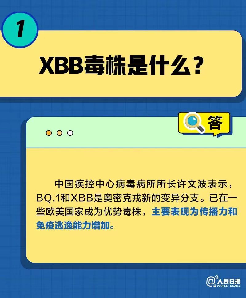 一图看懂XBB毒株那些事